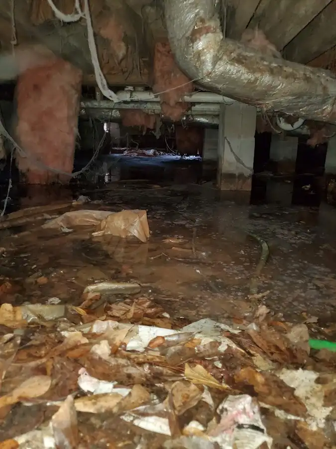 Crawl space flood assessment for Leak Detection & Repair in Lawrence